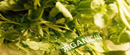 Poruke iz Selenče: Proizvođači organske hrane - udružite se!