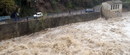 Sava poplavila njive u okolini Šapca