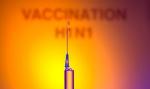 Slaba aktivnost virusa H1N1 u EU