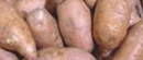 Slabiji rod krompira
