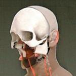 Španski hirurzi obavili prvu potpunu transplantaciju lica
