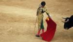 Španski matador teško povređen u borbi sa bikom