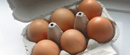 Svakodnevna konzumacija jaja rizična za dobijanje dijabetesa