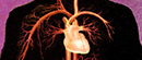 Zamena srčanih zalistaka bez operacije