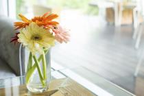 10 načina da vam cvijeće u domu traje duže