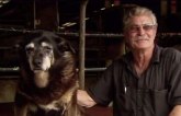 200 ljudskih godina: Umro najstariji pas na svetu