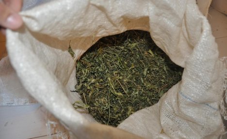 AKCIJA POLICIJE U BEOGRADU: Zaplenjena marihuana, troje uhapšeno
