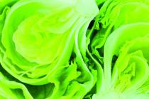 Ajsberg salata: Popularan zeleniš