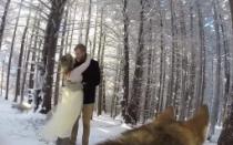 
					„Angažovali“ psa da im snimi venčanje, VIDEO ima dva miliona pregleda 
					
									