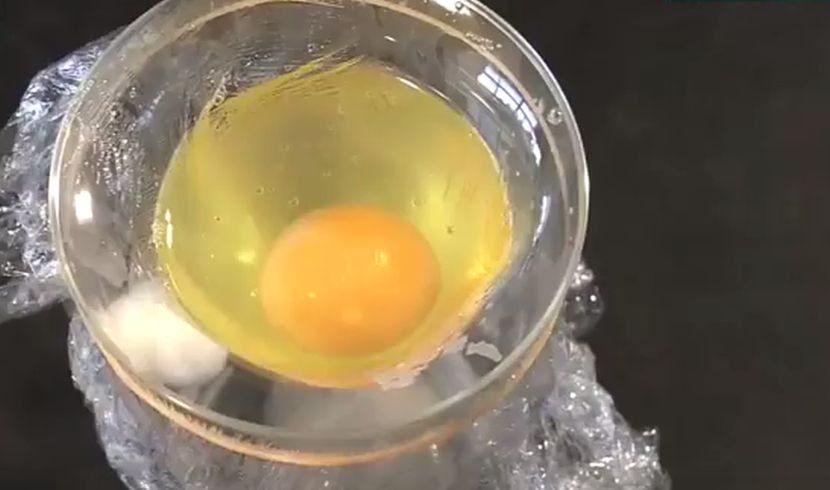 BIZARNO: Kad pogledate ovaj snimak, više nikada nećete jesti jaja (VIDEO)