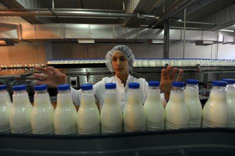 BLIC OTKRIVA Da bi vlada sačuvala domaće mlekare, moraće da žrtvuje voćare?