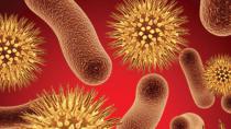Bakterije otporne na antibiotike