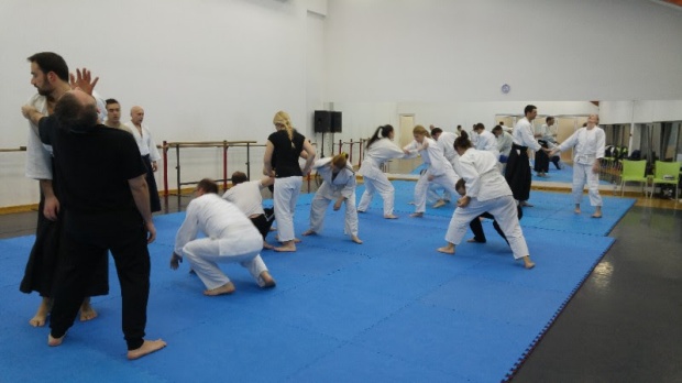 Besplatna škola aikidoa za decu i odrasle