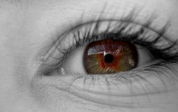 
					Bioničko oko može pomoći slepima da progledaju 
					
									