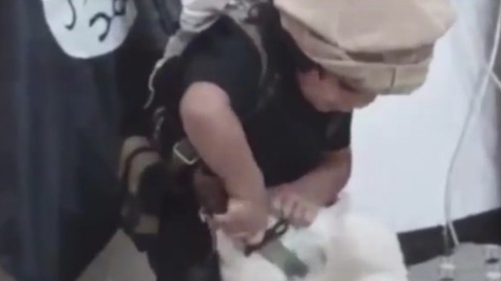 Bošnjaci porodično u džihad: Vode i decu u ISIS