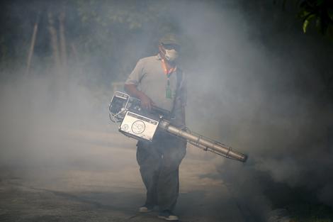 Brazil: Tri odrasle osobe umrle od infekcije virusom Zika