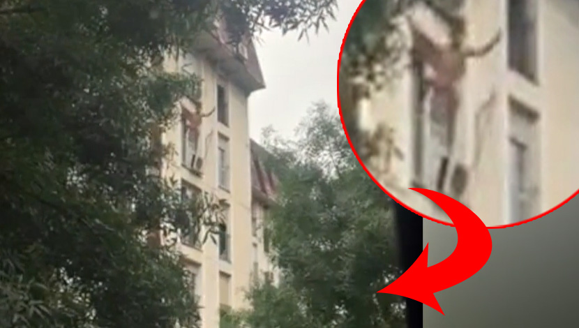CREEPY VIDEO: Watch the video of a man who fell of an air condition in the center of Belgrade (DISTURBING)