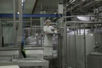 Čitajte u NEZAVISNIM: Prepolovljen izvoz mlijeka iz BiH
