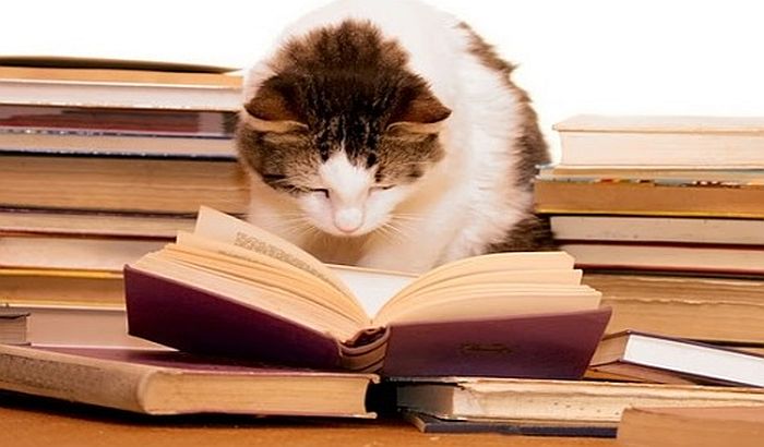 Čitanje najbolje smanjuje stres