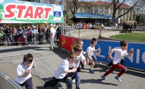 DEČIJI MARATON U BEO ZOO VRTU: U trci učestvuju mališani iz 14 predškolskih ustanova!