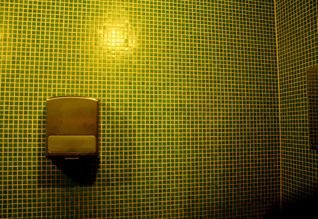 Da li su daske u javnim toaletima opasnost po zdravlje? Naučnici kažu…