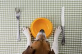 Da li su psi zaista uvek gladni?