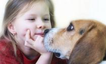 Deca koja odrastaju sa psom imaju manju šansu da obole od astme
