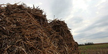 Dug put do iskorišćenja biomase