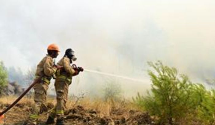 Evakuacija u Antaliji zbog šumskog požara
