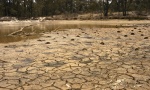 FAO: Jugu Afrike preti glad zbog suše i El Ninja