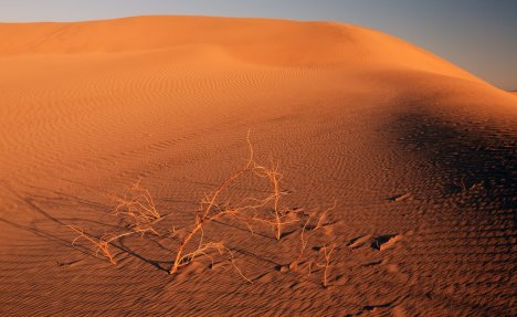 (FOTO) JEDAN DEČAK IMA ZANIMLJIV PLAN: Kako preživeti u pusitnji?
