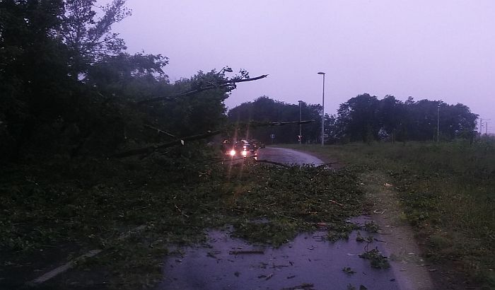 FOTO: Oluja napravila haos u Novom Sadu 