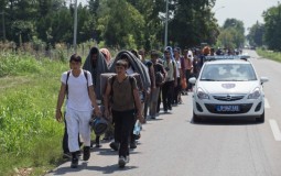 
					Migranti koji su pešačili do Horgoša počeli štrajk glađu 
					
									
