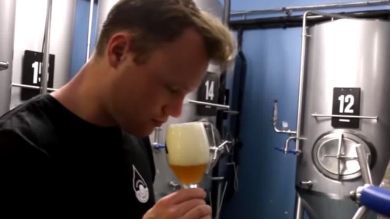 Holandska pivara pravi pivo od kišnice