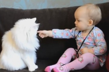 Igra beba i mačaka: Video koji će vam ulepšati dan