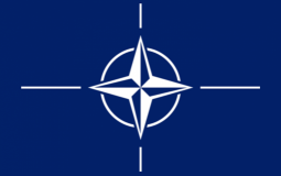 
					Istoričar Kurt Grič: NATO je mutirao posle Jugoslavije 
					
									