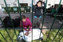 Iz Hrvatske u Sloveniju ušlo oko 1.000 izbjeglica