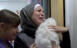 
					Izbeglicama vraćen mačak kog su izgubili na Lezbosu (VIDEO) 
					
									