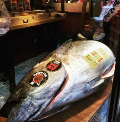 Japan: Tuna na tržnici prodana za 118.000 dolara