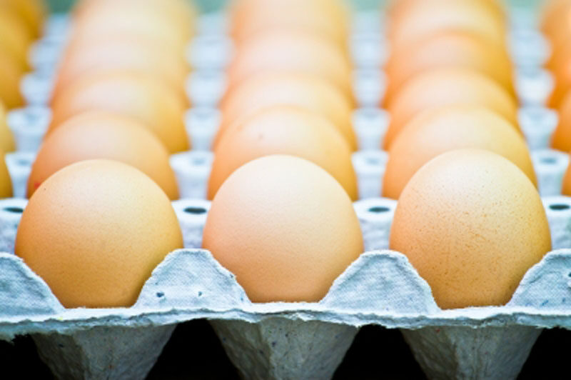 Jedno jaje dnevno učiniće čuda vašem organizmu!