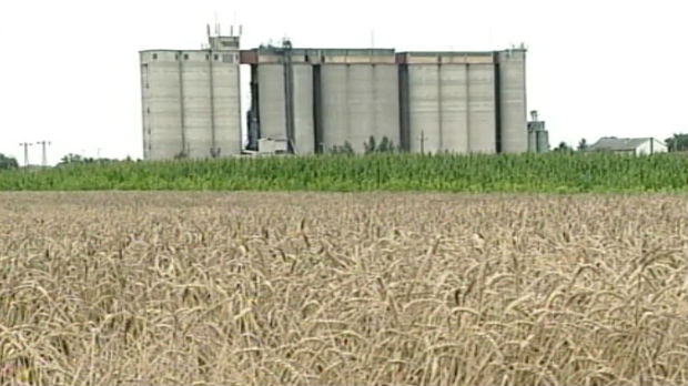 Kako do novih silosa za skladištenje pšenice?