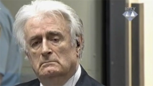 Karadžić uložio žalbu na političko suđenje