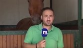 Konj ometao novinara u poslu: Ovaj mora da bude ozbiljan, a gledajte šta konj iza radi (VIDEO)