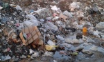 Liban najavio privremene mere za rešenje krize sa smećem