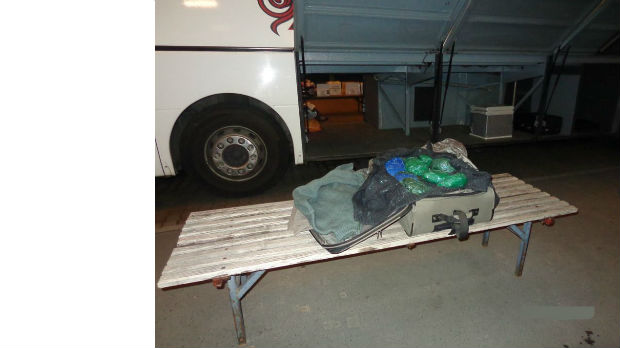 Mađarski carinici pronašli marihuanu u autobusu iz Srbije