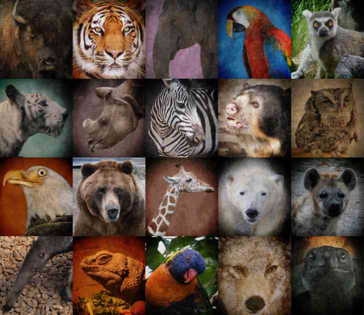 Međunarodni dan biodiverziteta – Više od 30% vrsta na svetu ugroženo!