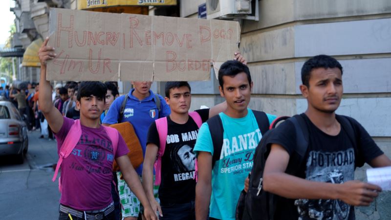 Migranti na putu ka Mađarskoj stigli do Batajnice