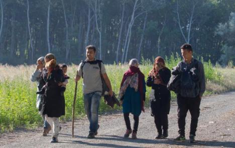 Migranti na putu ka Mađarskoj stigli u Inđiju