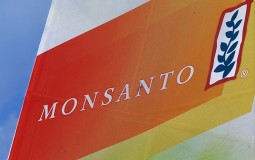 
					Monsanto otpušta 1.000 ljudi da bi smanjio gubitke 
					
									