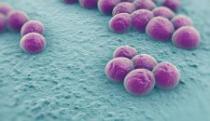 NAUČNICI U STRAHU Prete nam superbakterije OTPORNE NA ANTIBIOTIKE